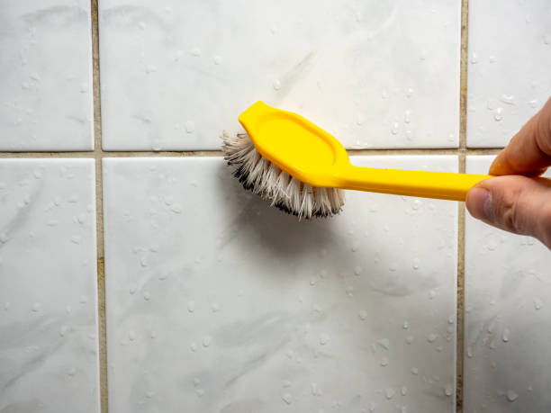 Best Local Mold Removal Service  in Gresham, OR