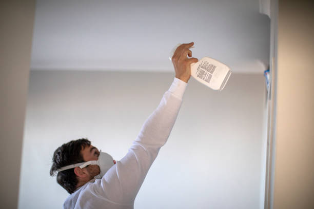 Best Commercial Mold Removal  in Gresham, OR