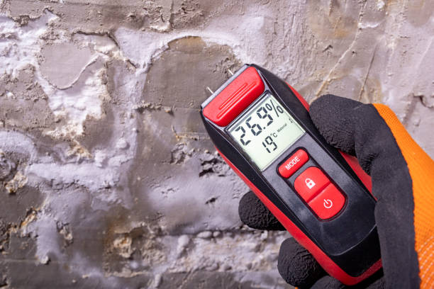 Best Mold Damage Repair  in Gresham, OR