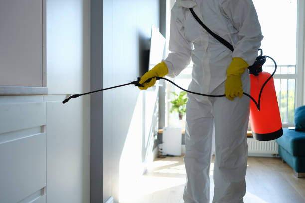 Best Residential Mold Removal  in Gresham, OR