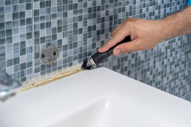 Best Toxic Mold Removal  in Gresham, OR