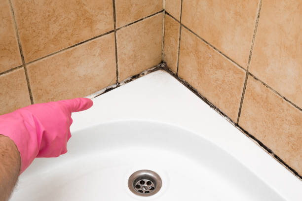 Best Mold Remediation Services  in Gresham, OR